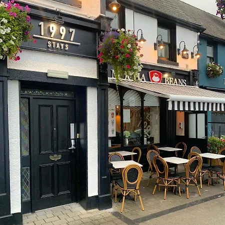 Mocha Beans Pensión Westport