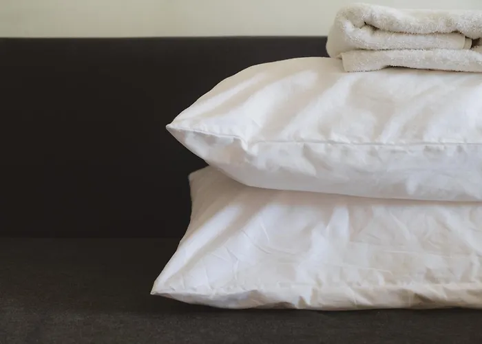 게스트하우스 Mocha Beans